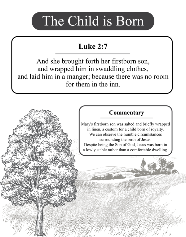 The Child is Born (Scripture and Commentary). Sample from The Life of Jesus Christ: A Bible Study Word Search.