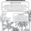 Fig Tree Dried Up (Scripture and Commentary). Sample from The Life of Jesus Christ: A Bible Study Word Search.